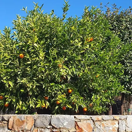 Vila Crete - Ultimate Luxury Elounda